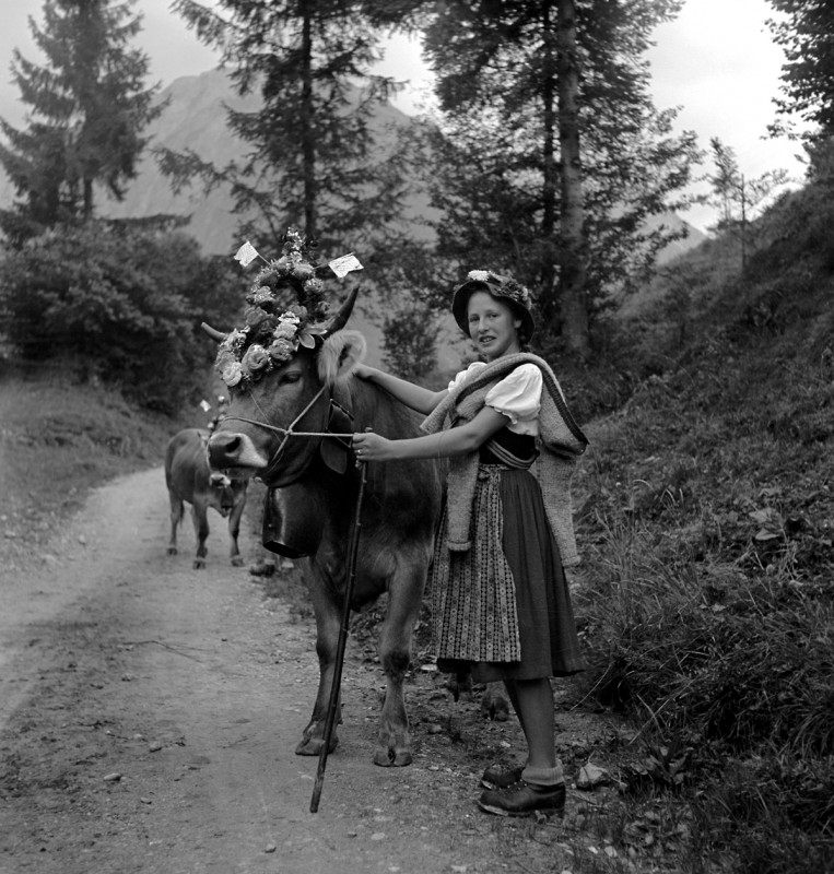 Viehscheid mit schöner Hirtin, 1956