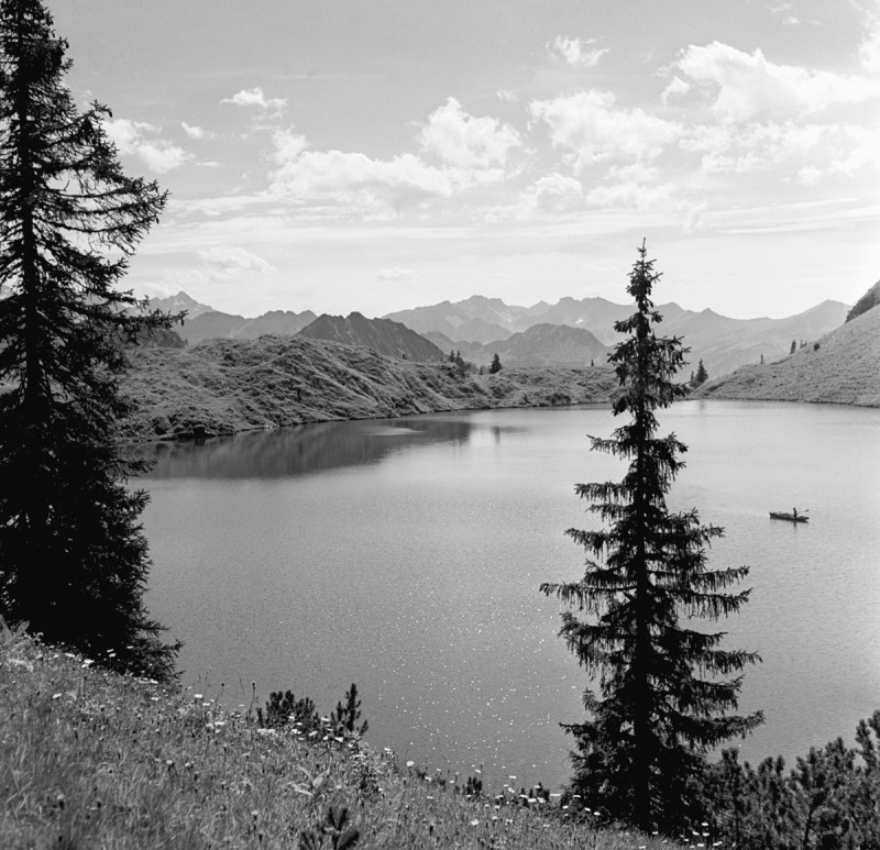 Landschaft am Alpsee, 1954