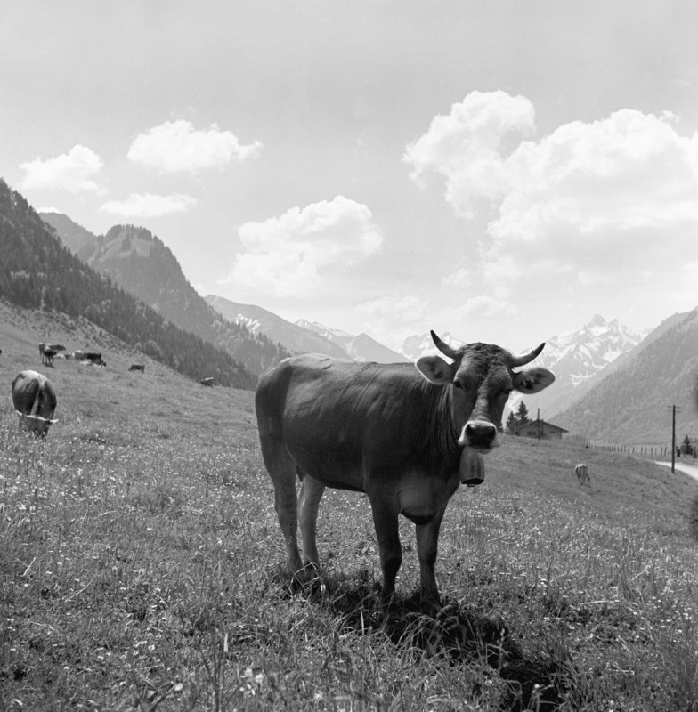Gitta vor Allgäuer Landschaft, 1940