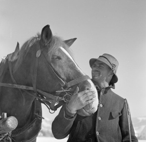 Freundschaftliche Bande am Fuhrwerk, 1934