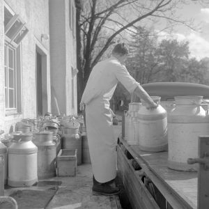 Milch aus dem Allgäu, 1952