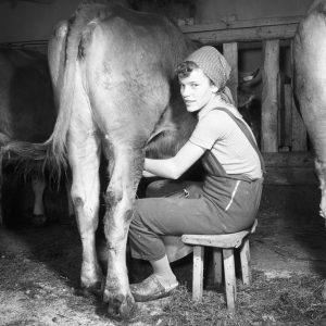 Junge Bäuerin, 1960