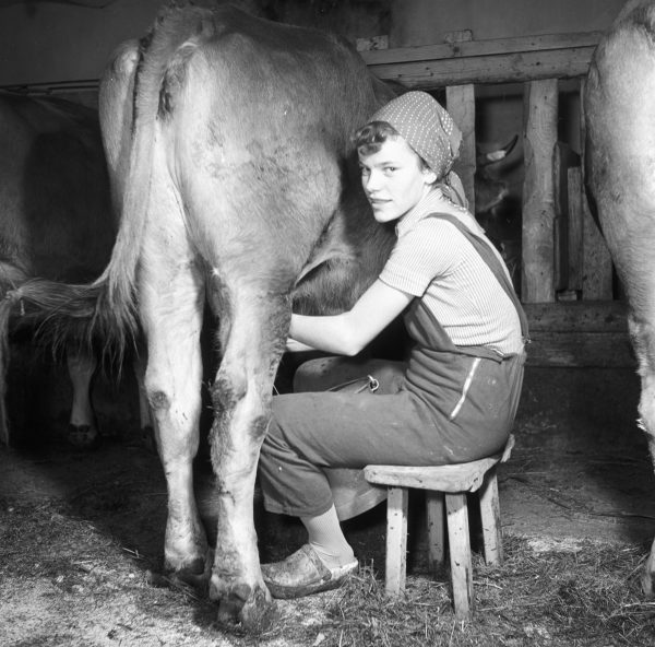 Junge Bäuerin, 1960