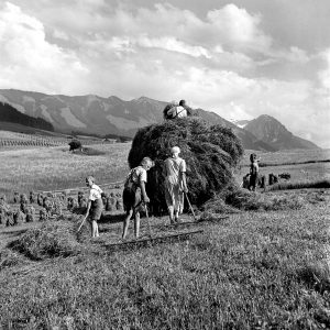 Heuernte mit der ganzen Familie, 1938