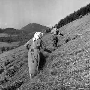 Heuernte Hand in Hand, 1939