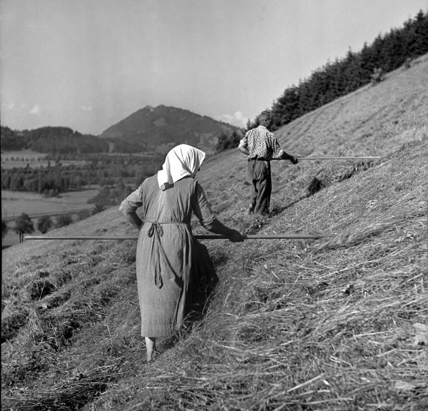 Heuernte Hand in Hand, 1939