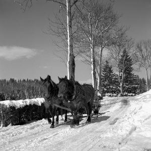 Winterausflug am Alpsee, 1949