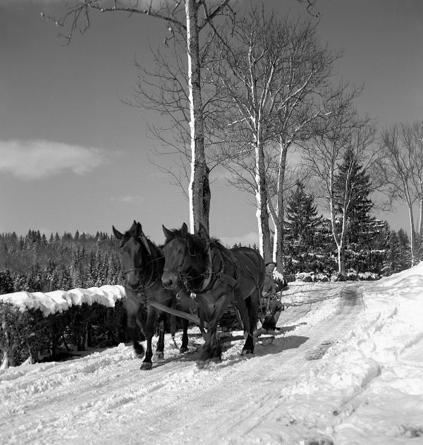 Winterausflug am Alpsee, 1949
