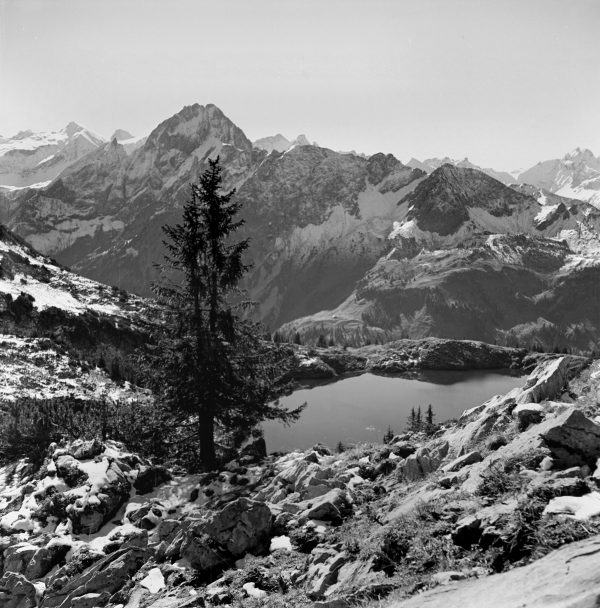 Stilles Glück in den Bergen, 1946