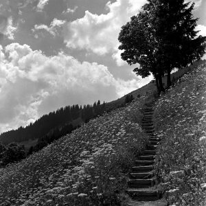 Himmelstreppe, 1950