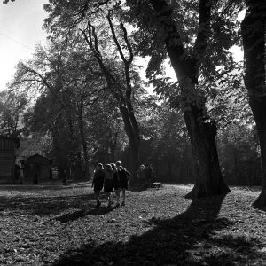 Vier Freunde auf der Hofgartenallee, 1949