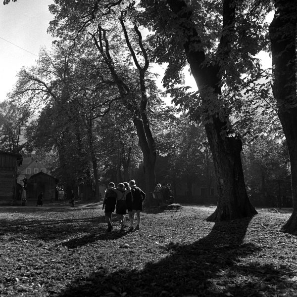 Vier Freunde auf der Hofgartenallee, 1949