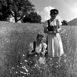 Allgäuer Föhla, 1956