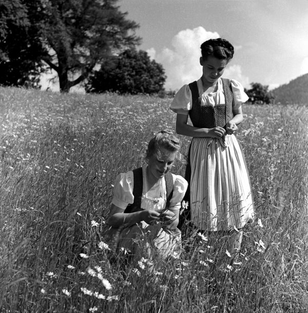 Allgäuer Föhla, 1956