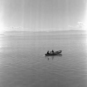 Ruderboot auf See, 1953