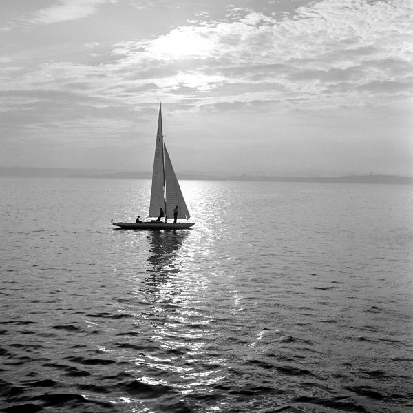 Stimmung am Bodensee, 1953
