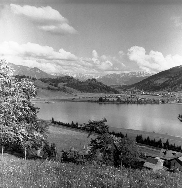 Landschaft am Alpsee, 1954