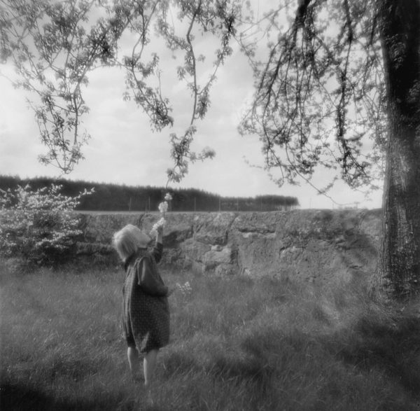 Kinder und Blüten, 1934