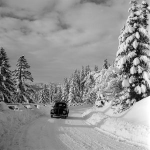 Käfer auf der Jochstraße, 1951