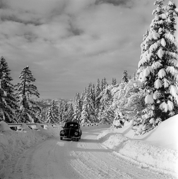 Käfer auf der Jochstraße, 1951