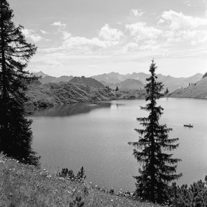 Landschaft am Alpsee, 1954