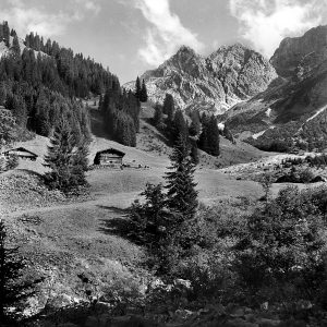 Einsame Hütte in den Bergen, 1954