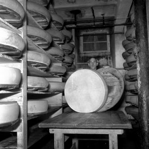 Im Käsekeller, 1952