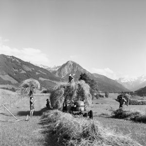 Heuernte im Allgäu, 1956