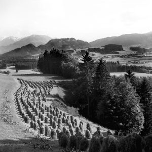 Huinzenlandschaft, 1956